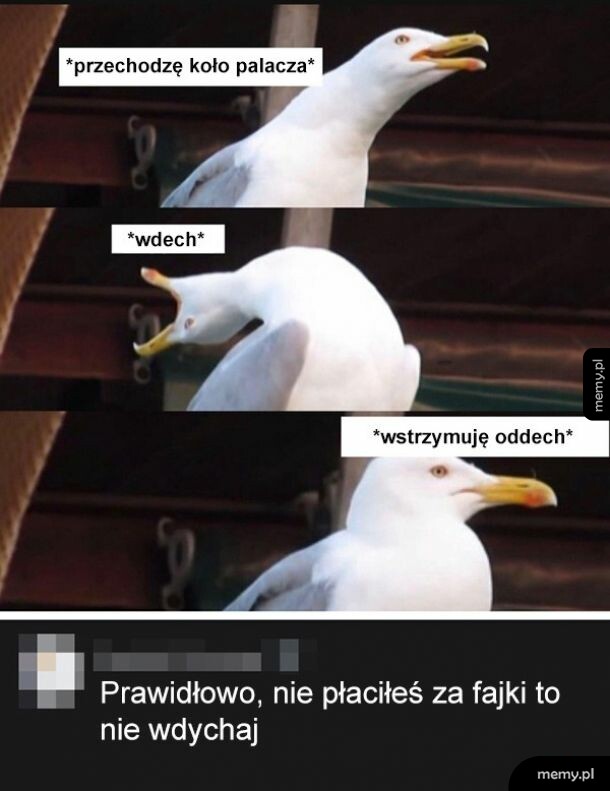 Nie dmuchajcie ludziom dymem