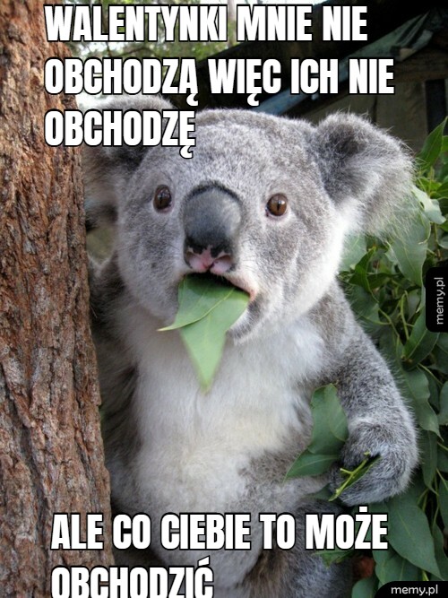 Walentynki mnie nie obchodzą więc ich nie obchodzę ale co ciebie to może obchodzić