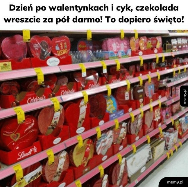 Czekoladki