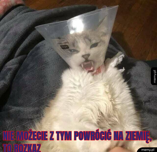 NIE MOŻECIE Z TYM POWRÓCIĆ NA ZIEMIĘ, TO ROZKAZ