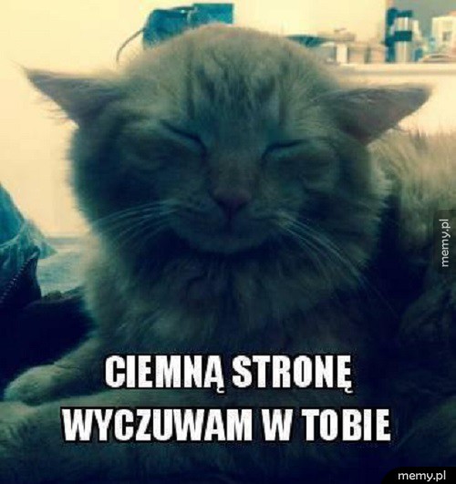 Yoda