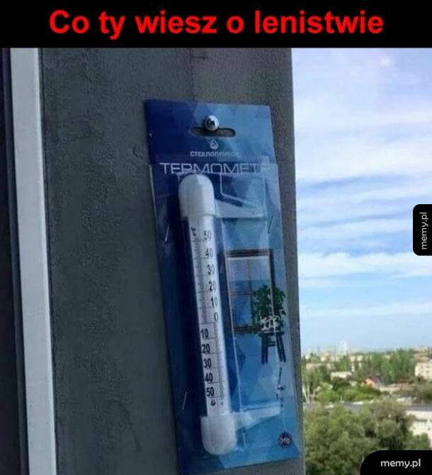 Może i lenistwo, ale jakie pomysłowe!