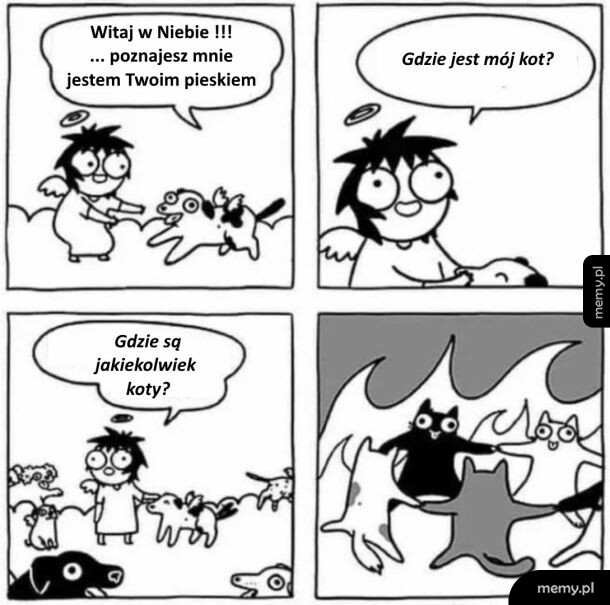 Wszystkie psy idą do nieba