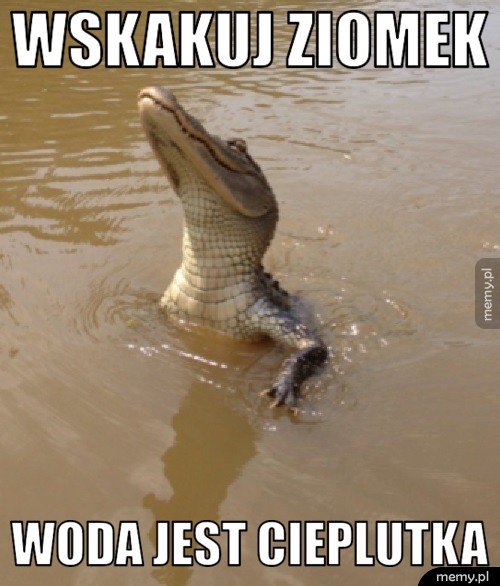 Witam i zapraszam