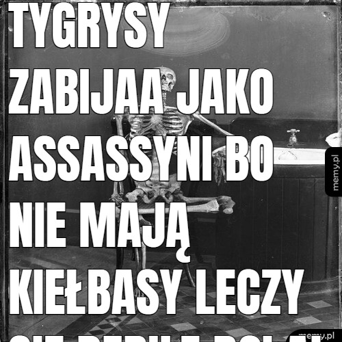 Tygrysy zabijaa jako assassyni bo nie mają kiełbasy leczy się debile BCI AI a jak nie to assassyni i ochrona wojsko z policją na Ulice razem z amingiem legiom i spartom hipisami za kradzieże organów.