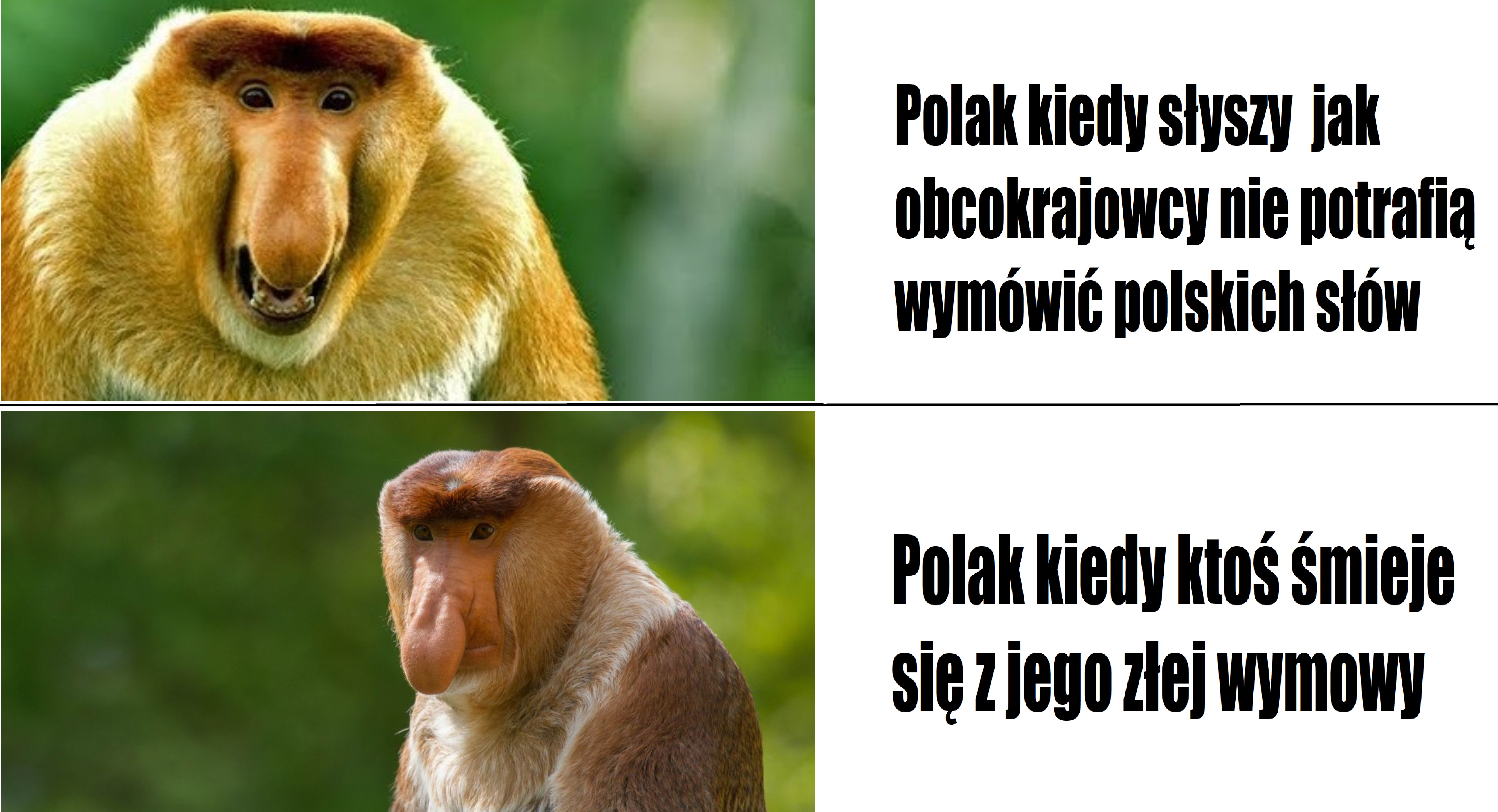 Zdolności językowe