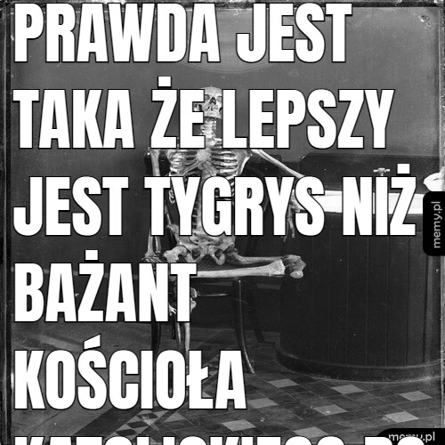 Prawda jest taka że lepszy jest tygrys niż bażant kościoła katolickiego bo od lilit pochodzi co w kocu chodzi i tajemnicy jak Alicja się przytula i do pracy chodzi i ciężko pracuje i się nie obija jak bażant co daninę tylko zbiera bo sztukę wojny robi jak procesji się pieniędzmi z kieszeni nie pokrywa.