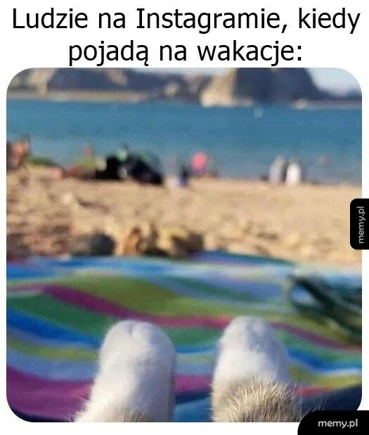 Taka fota musi być