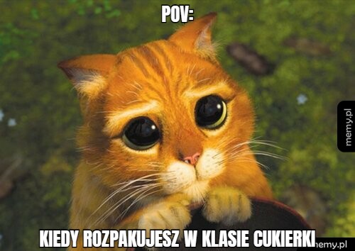 Pov: kiedy rozpakujesz w klasie cukierki