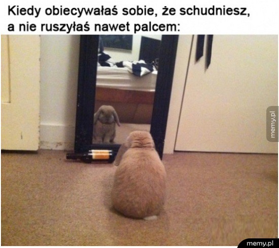 Obiecanki cacanki