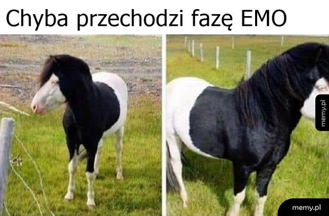 Faza EMO