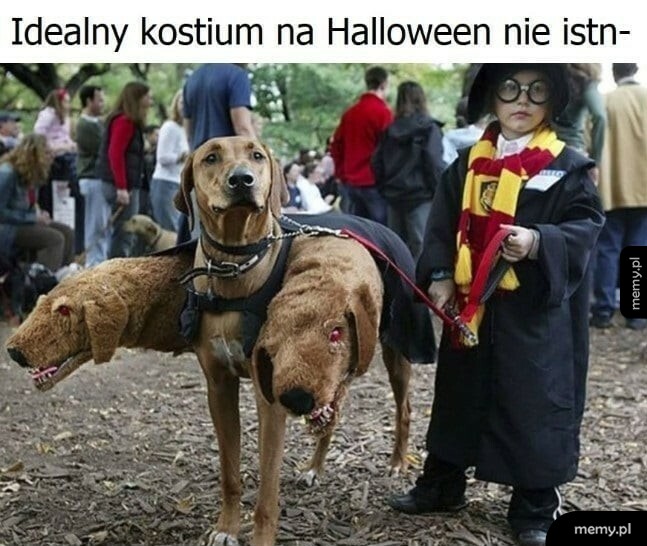 Świetny