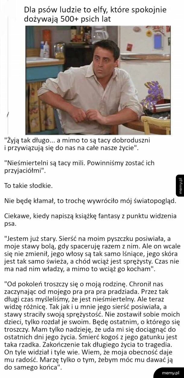 Dla psów ludzie to elfy, które spokojnie dożywają 500+ psich lat