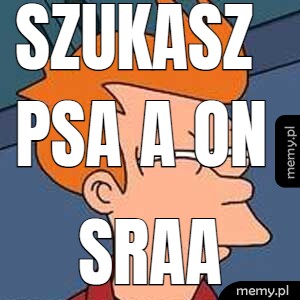 Szukasz psa a on  SRAA