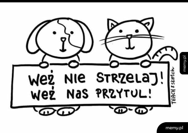 Sylwester