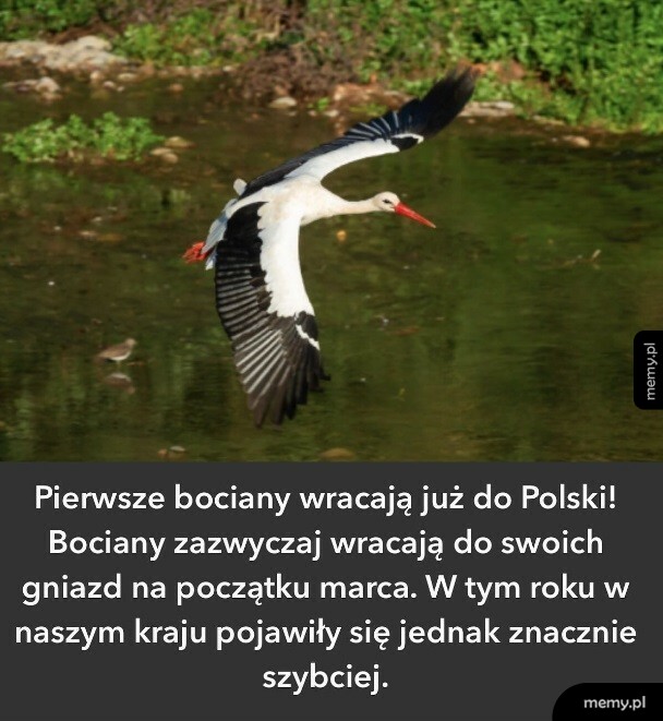Wiosna coraz bliżej