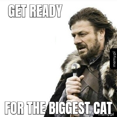 GET READY for the biggest cat