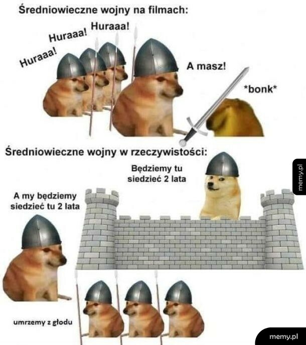 Mem porównujący średniowieczne wojny na filmach i w rzeczywistości za pomocą psów Cheems.