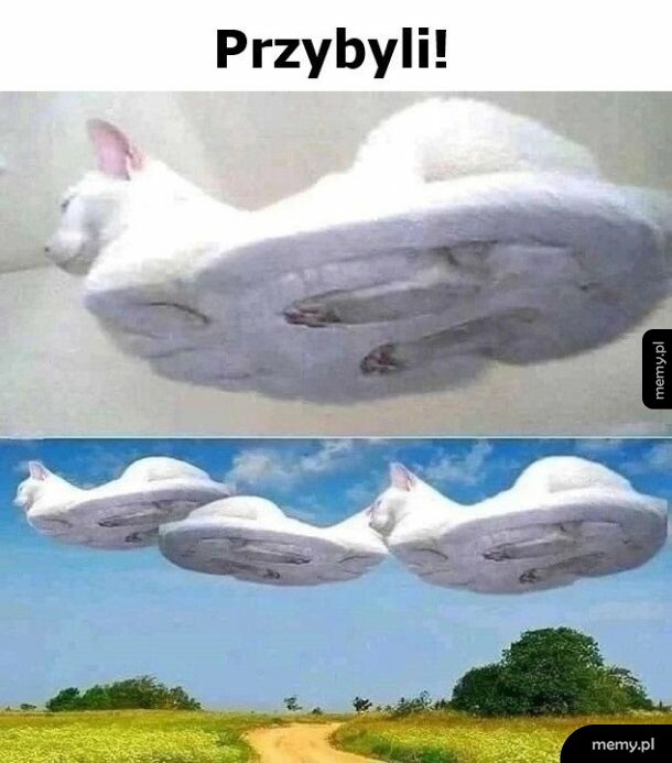 Biały kot leżący na szklanym stole widziany od dołu, zmontowany z widokiem latających spodek.