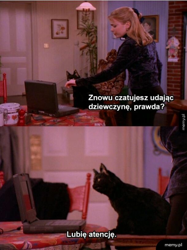 Kobieta rozmawia z czarnym kotem siedzącym przed laptopem w serialu Sabrina, nastoletnia czarownica.