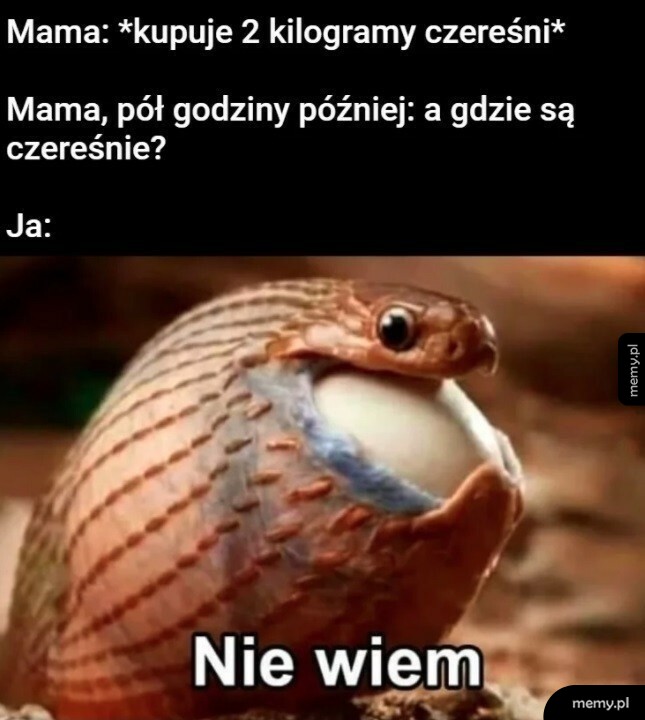 Mątwa lub wąż połykający duże jajko z napisem Nie wiem