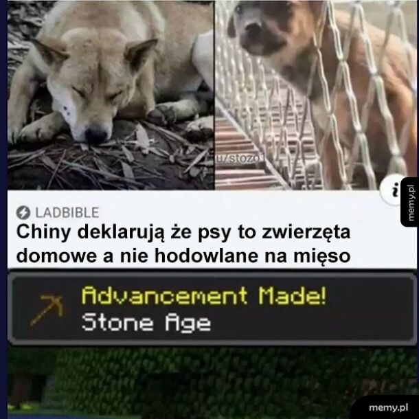 Mem z psami i powiadomieniem z Minecrafta o osiągnięciu Epoka Kamienia