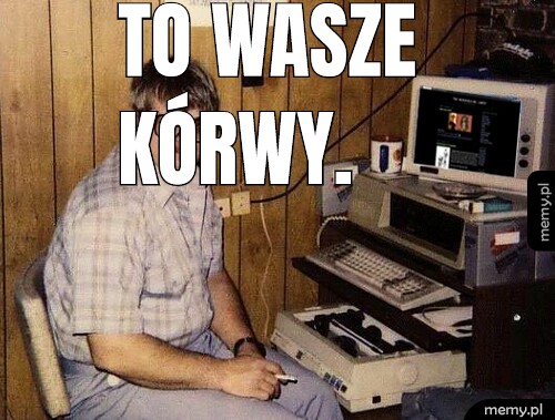 To wasze kórwy.