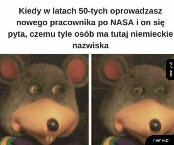 Mąka zszokowanej maskotki szczura z szeroko otwartymi oczami.