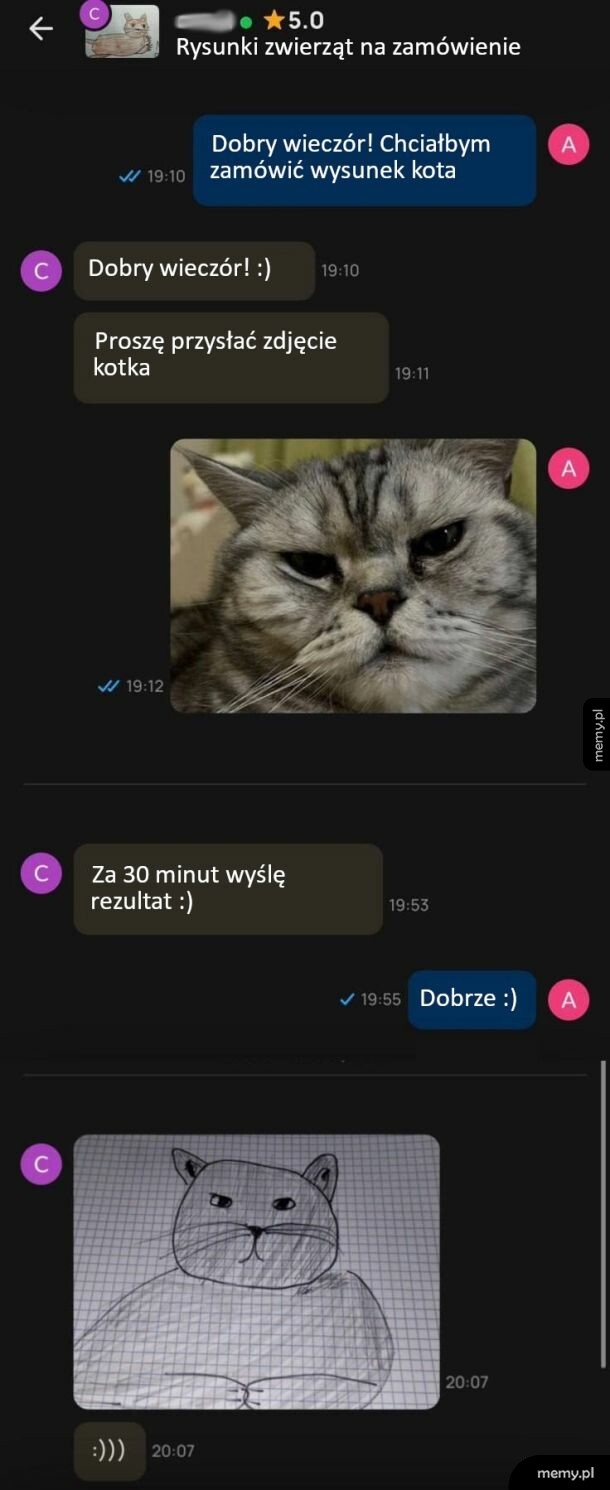 Zrzut ekranu z czatu przedstawiający zamówienie i amatorski rysunek kota