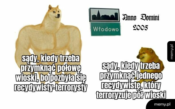 Mecem z psem Buff Doge i małymi psami porównujący reakcję sądów w Włodowie w 2005 roku.