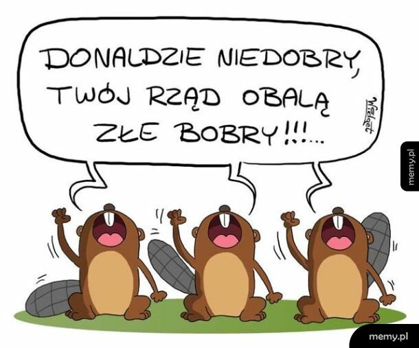 Rysunek przedstawiający trzy krzyczące bobry z transparentem w dymku.