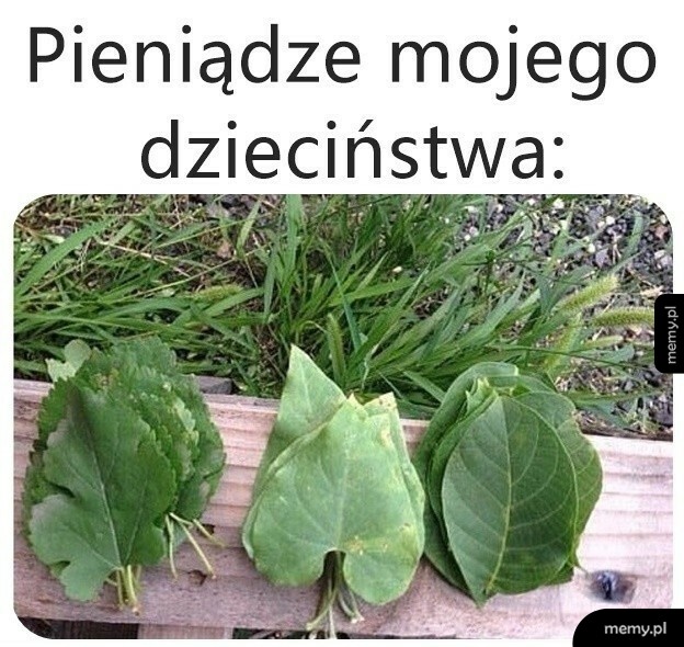 Stogi liści na drewnie jako symbol pieniędzy z dzieciństwa