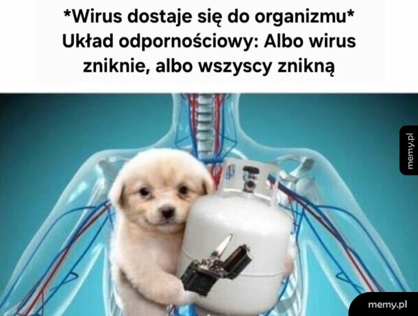 Szczeniak z butlą gazową i zapalniczką na tle układu krążenia.