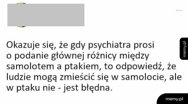 Tekstowy mem o różnicy między samolotem a ptakiem u psychiatry.