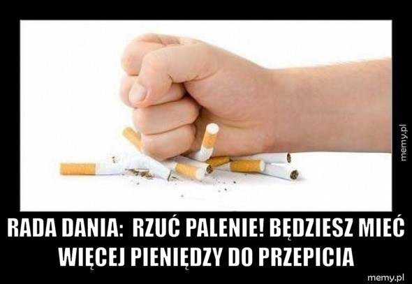 Rada dania