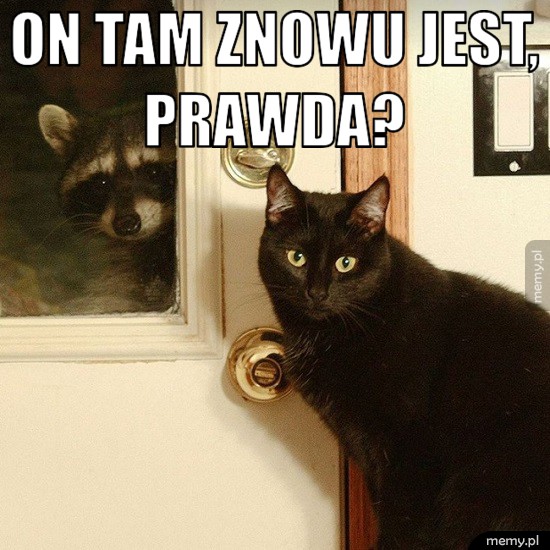 Zamaskowany bandyta