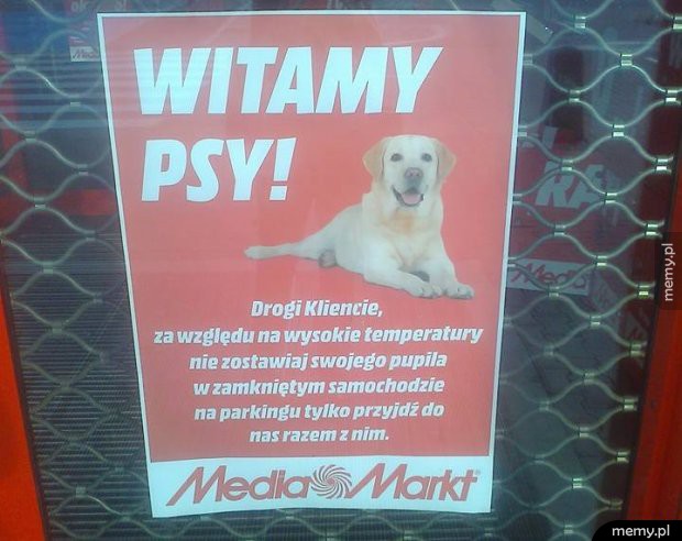 Witamy psy!