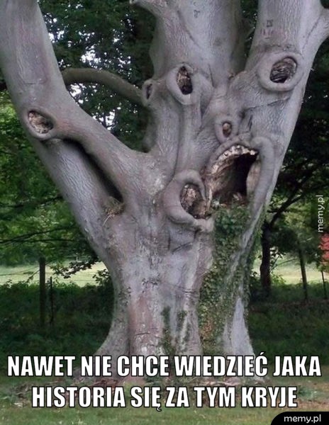 Nawet nie chce wiedzieć.