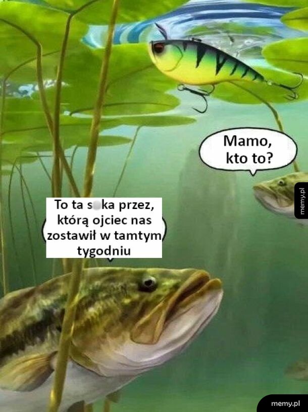 Dwie ryby patrzą na sztuczną przynętę pływającą pod wodą.