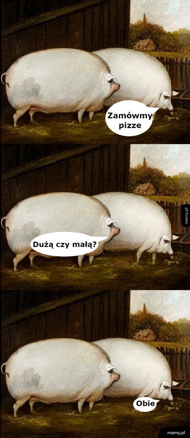 Komiks z trzema kadrami przedstawiającymi dwie wielkie świnie w chlewni.