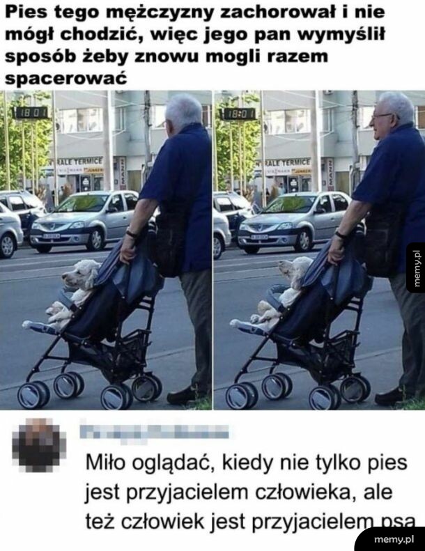 Starszy mężczyzna spaceruje z chorym psem siedzącym w dziecięcym wózku na ulicy.