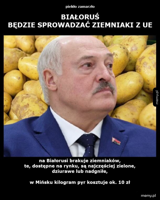 Aleksander Łukaszenka na tle ziemniaków