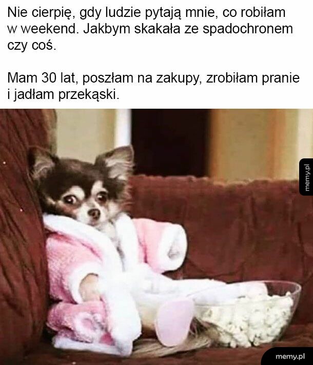 Mały pies w szlafroku siedzi na kanapie z miską przekąsek.