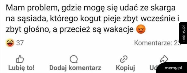 Zrzut ekranu z pytaniem o skargę na koguta sąsiada w wakacje.