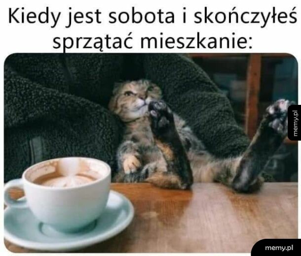 Kot leżący wygodnie na kanapie z łapami w górę obok filiżanki kawy.