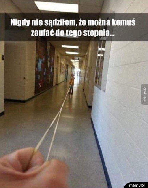 Zaufanie