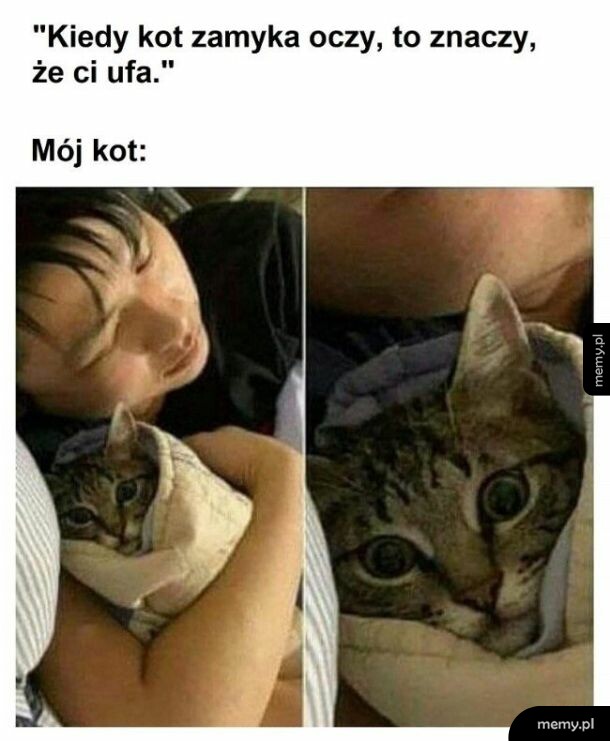 Mężczyzna przytula kota owiniętego w koc, kot ma szeroko otwarte oczy ze strachu.