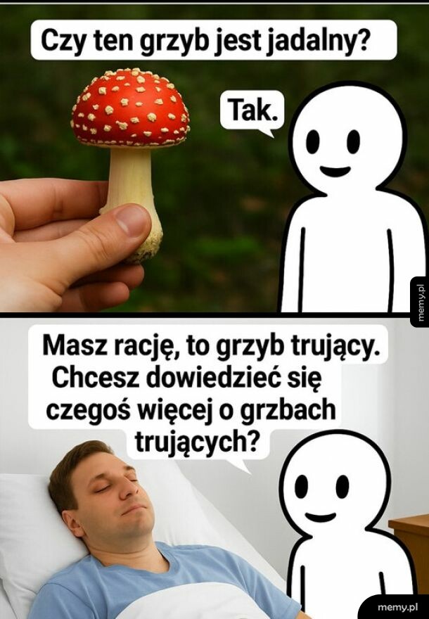 Mężczyzna pyta czy muchomor jest jadalny, a po zjedzeniu leży w łóżku.