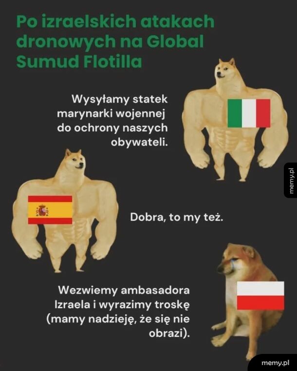 Mem z psami przedstawiający reakcje Włoch, Hiszpanii i Polski na atak w Strefie Gazy.