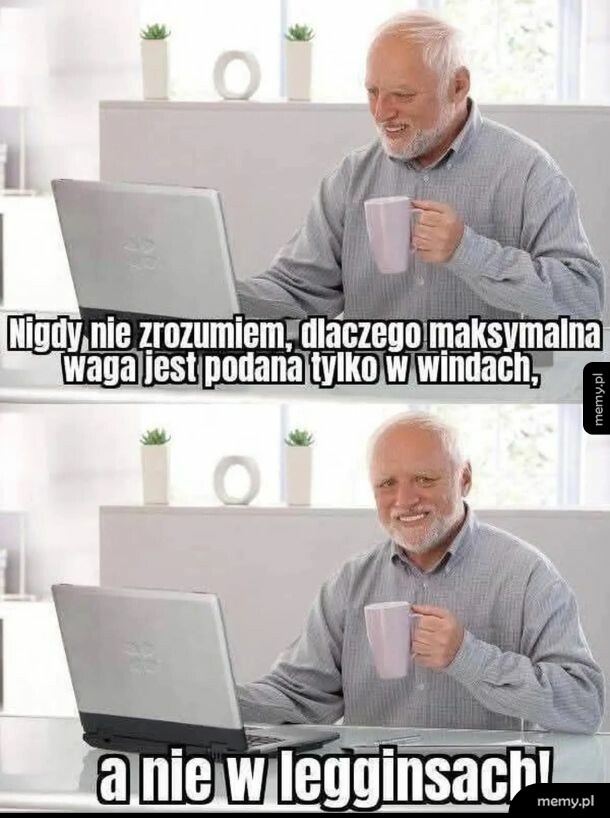 Hide the Pain Harold siedzi przed laptopem z kubkiem kawy.